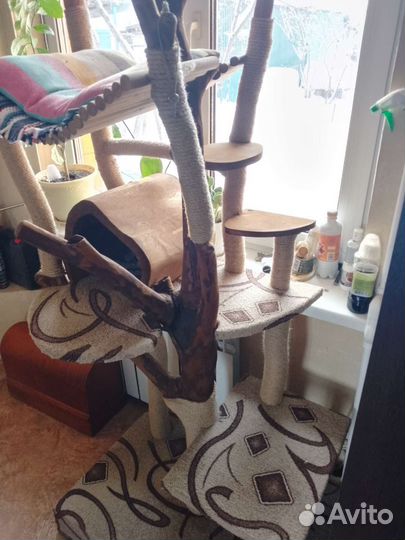 Когтеточка домик для кошки новый