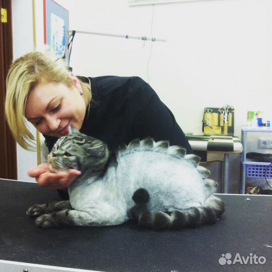 Стрижки кошек и собак груминг выезд на дом