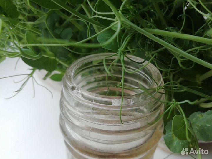 Баночки для специй СССР, солонка