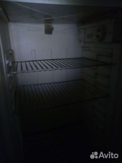 Холодильник Чинар 3