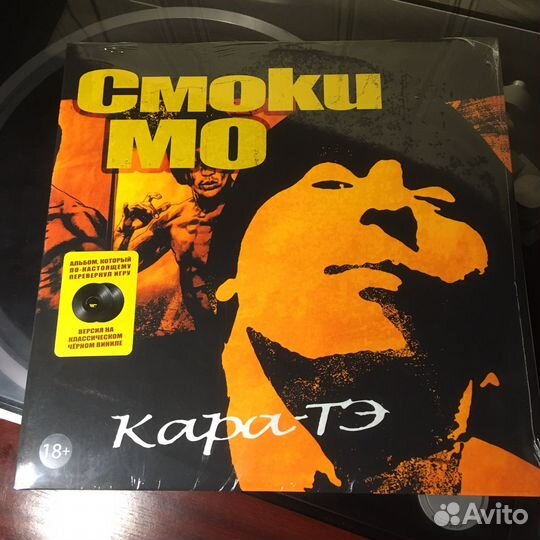 Виниловая пластинка