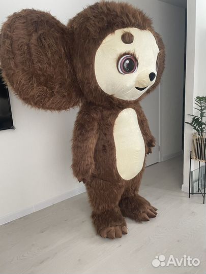 Поздравление от Чебурашки