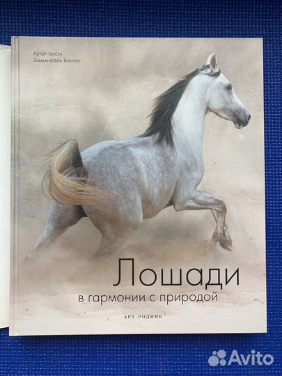 Лошади в гармонии с природой. Э. Брангар. Книга