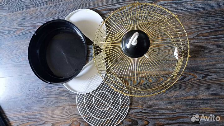 Волнистые попугаи редкого окраса + новая клетка