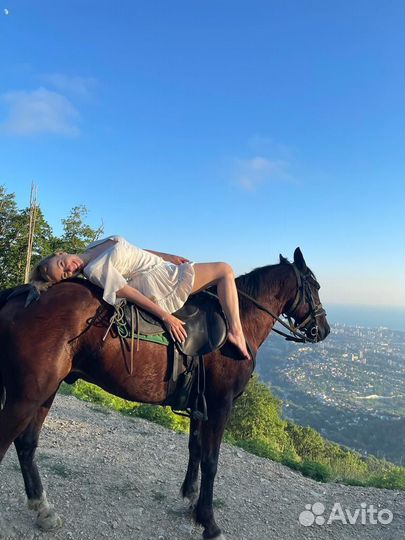 Конные Прогулки в сочи трансфер