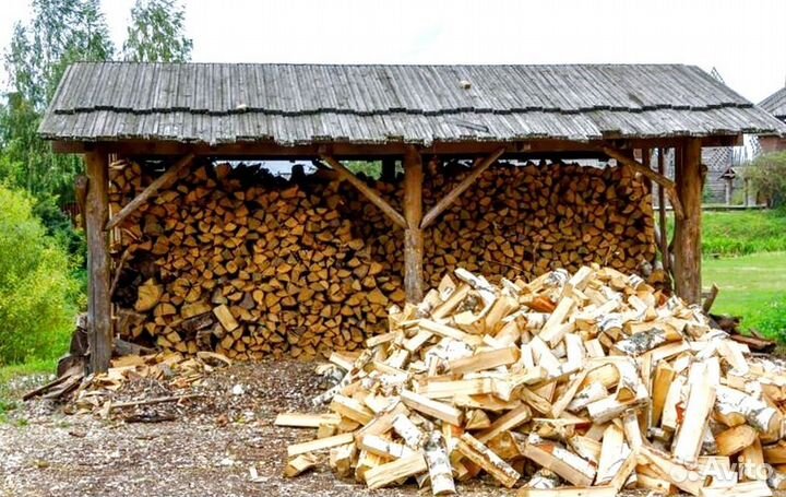 Кора березы