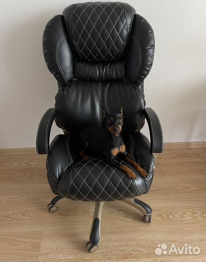 Кресло руководителя, офисное, черное, мягкое