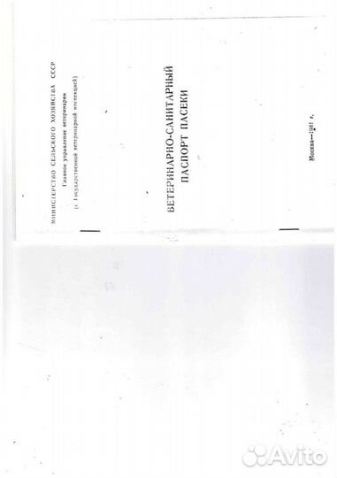 Мёд разнотравье (подсолнух+липа) опт и розница