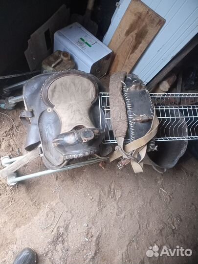 Сбруй для лошади