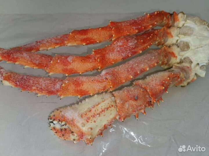 Клешни Камчатского краба