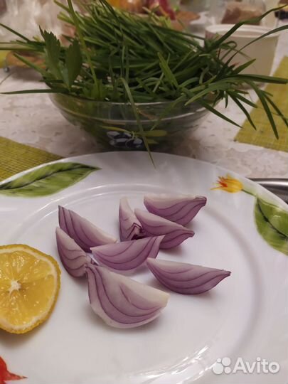 Лук ялтинский семена