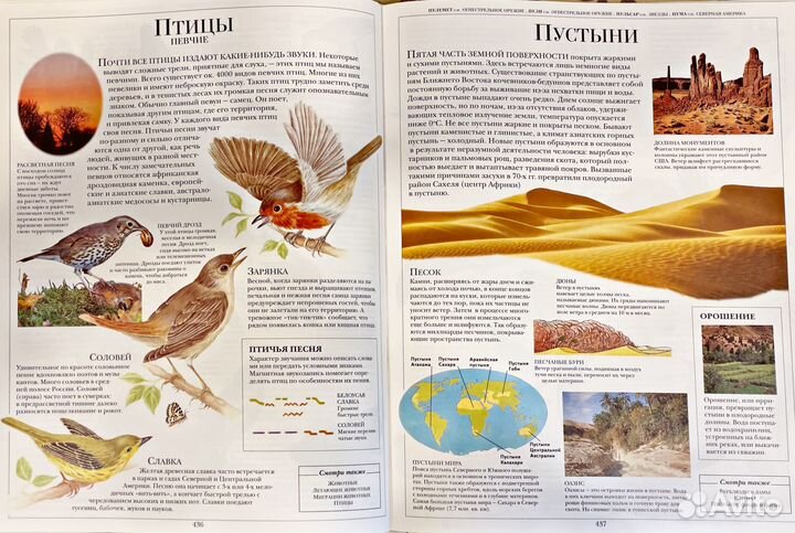 Детская иллюстрированная энциклопедия Дорлинг Кинд