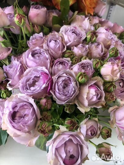 Букет из кустоввх роз