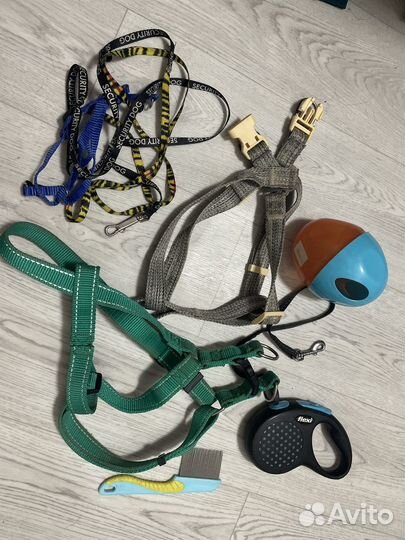 Поводок, шлейка, расческа, игрушка
