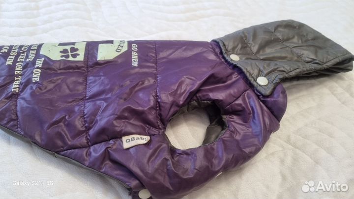 Жилетка для маленьких собак