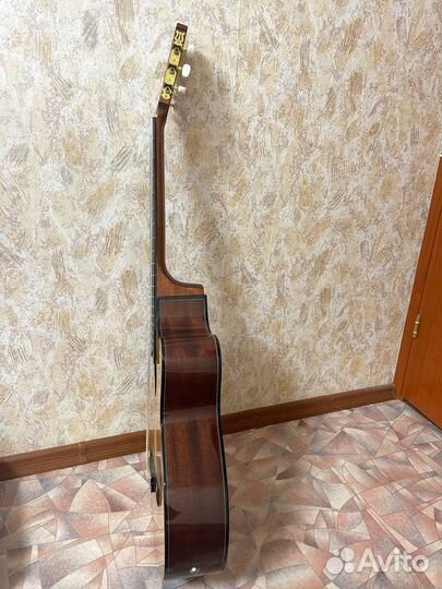 Электроклассическая гитара ibanez