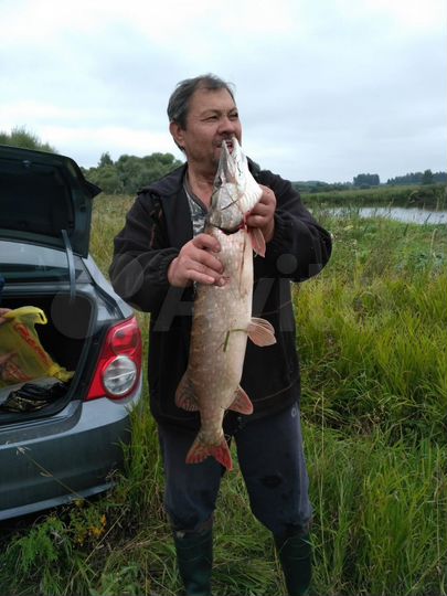 Участок 4,5 га (СНТ, ДНП)