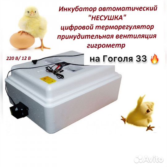 Инкубатор для яиц