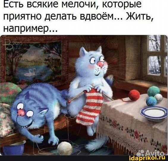Кошки в добрые руки