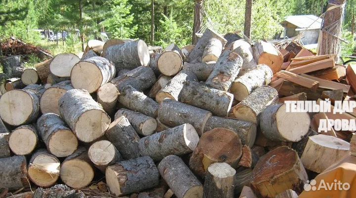 Дрова береза осина ольха