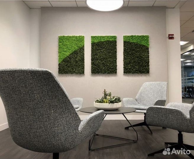 Стабилизированный мох.Панель из мха 60 см