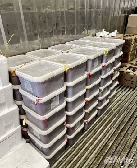 Красная икра Форели опт 1000 г. насыщенный вкус