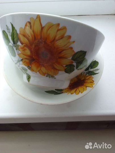 Столовая пара Чайка Краснодар