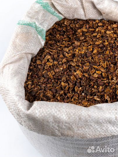 Кедровая скорлупа