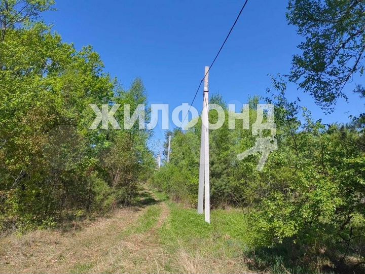 Участок 10 сот. (СНТ, ДНП)