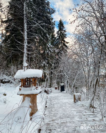 Тур в Карелию из санкт-петербург