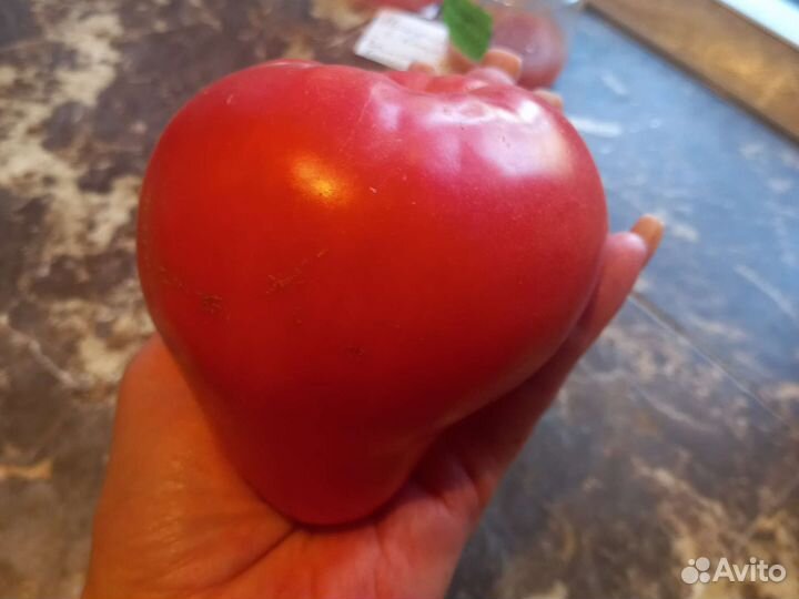 Семена томатов сортовые