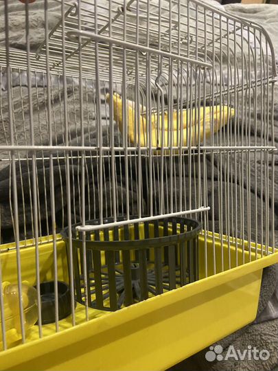 Клетка для мелких грызунов