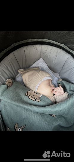 Коляска детская 2 в 1 Roan bass next