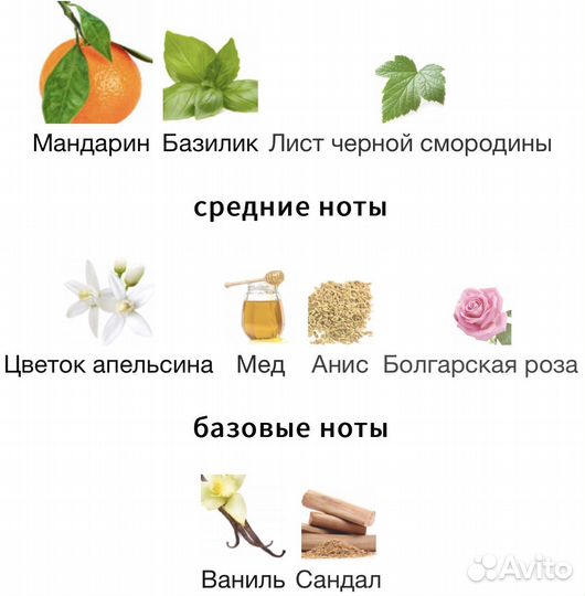 Guerlain Aqua Allegoria Mandarine Basilic