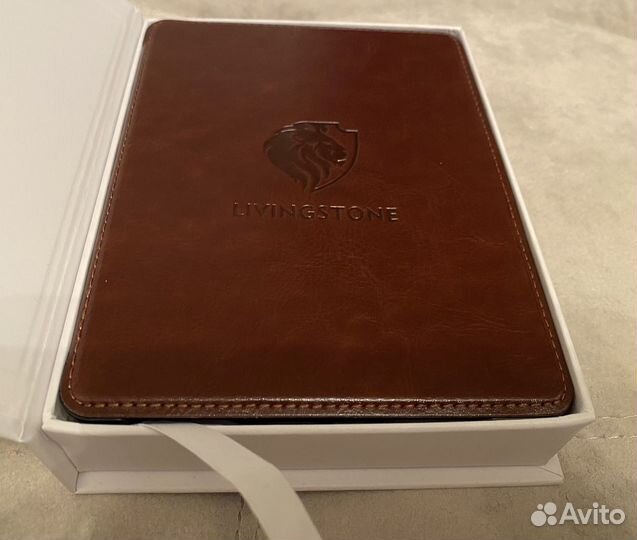 Электронная книга Onyx Boox Livingstone 3