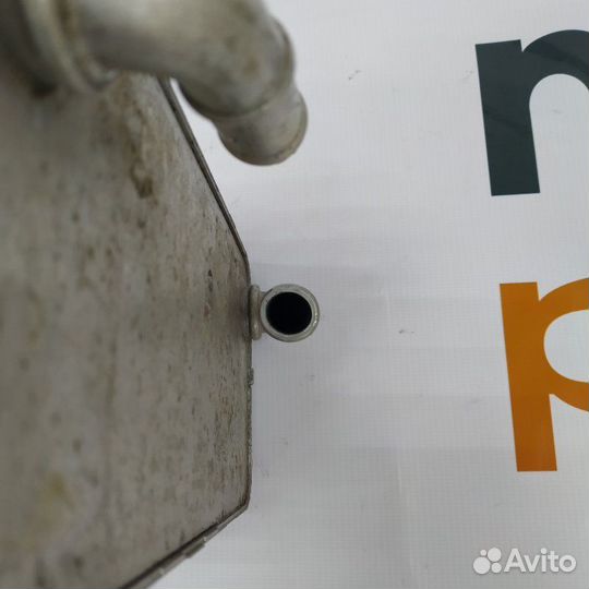 Радиатор масляный Volkswagen Tiguan 2 2019