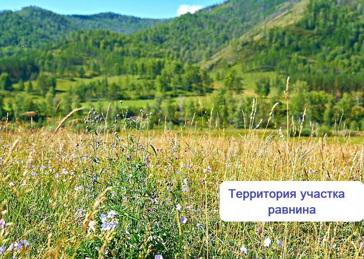 Участок 3 га (СНТ, ДНП)