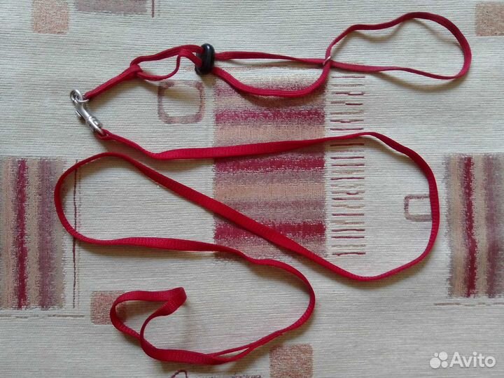 Шлейка - восьмерка для хорька