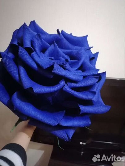 Цветы интерьерные