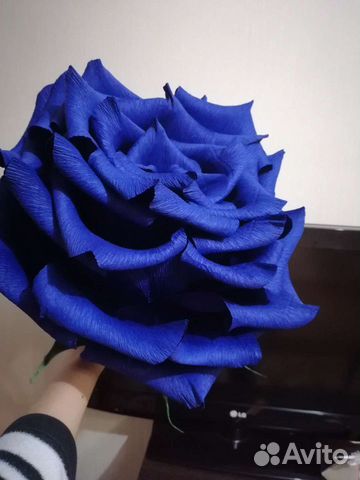 Цветы интерьерные