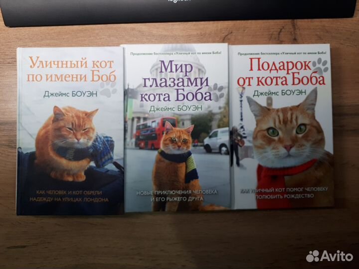 Уличный кот по имени Боб. Джеймс Боуэн