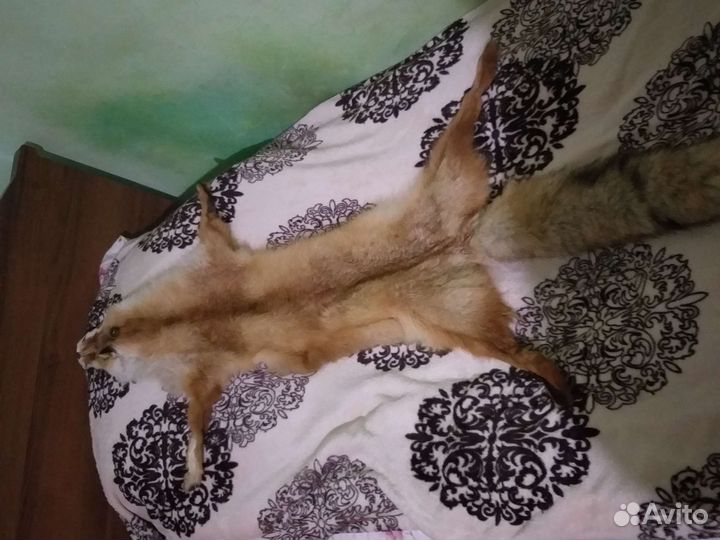 Шкуры лисы