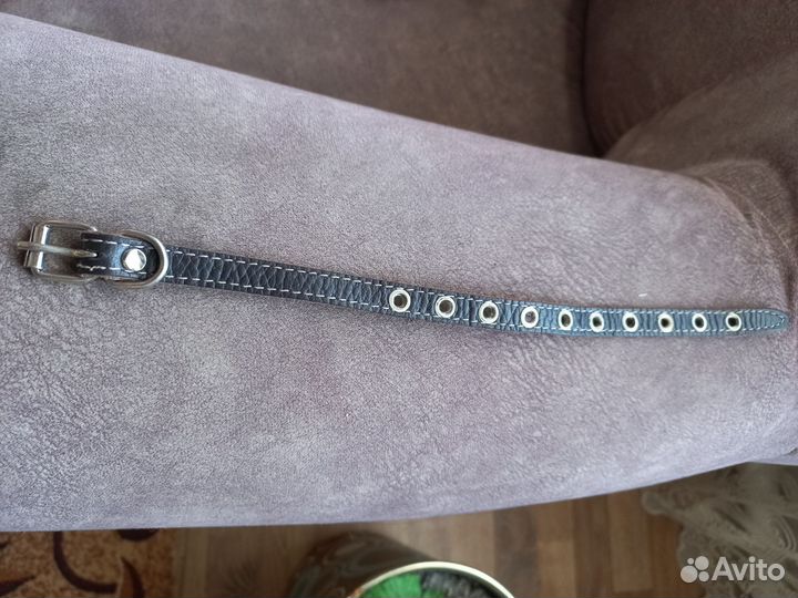 Ошейник для мелких пород собак