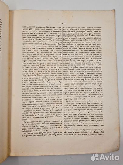 Богданов, А.П. Материалы для изучения цыган. 1877