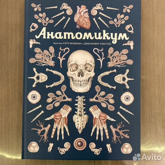 Анатомикум