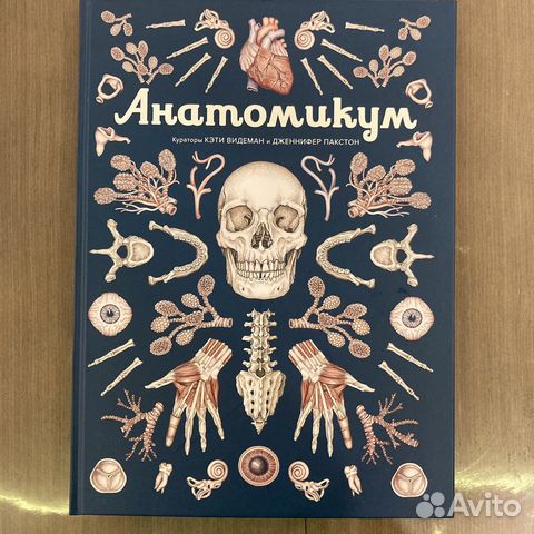 Анатомикум