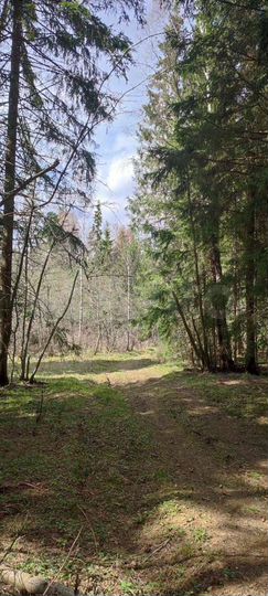 Участок 14 сот. (ИЖС)