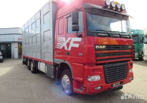 В разборке грузовик DAF,XF 95 2002-2005