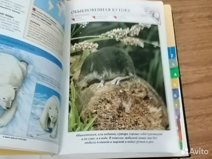 Книги про животных
