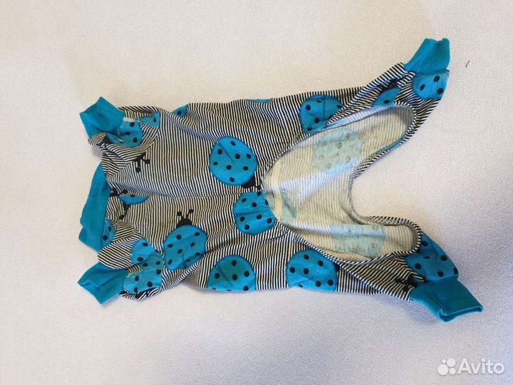 Одежда для маленьких собак M